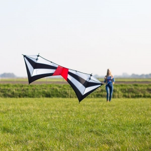 Meteor - Quadline Kites, age 12+, 76x200cm, incl. 50kp Dynee...