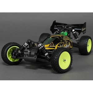 Chassis - BZ-444 Pro 1/10 4WD Racing Buggy