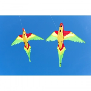 Parrot 3D - Single Line Kites, age 8+, 110x118cm, incl. 17kp...