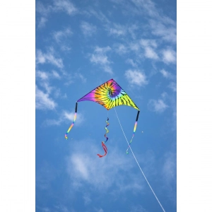 Delta Rainbow Rider - Kids Kites, age 10+, 98cmx210cm, incl....