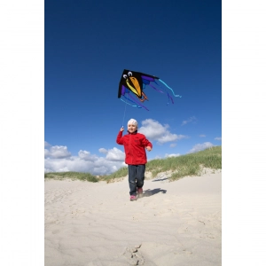 Delta Charly - Kids Kites, age 5+, 98x150cm, incl. 17kp Poly...