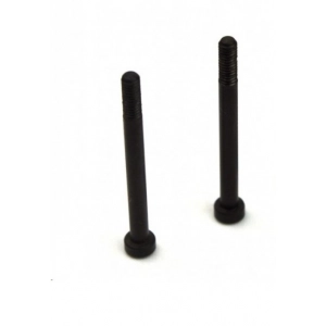 3x30mm Hinge Pin (2pcs) - S10 Blast
