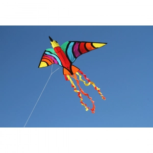 Tropical Bird - Kids Kites, age 5+, 75x150cm, incl. 17kp Pol...