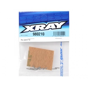 XRAY 2x9.8mm Polished Chrome Pin (10)