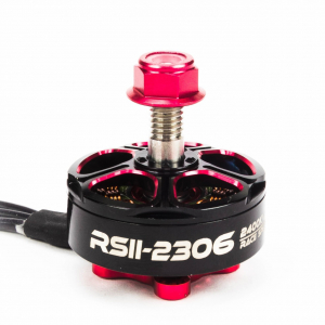 EMAX RSII 2306 1900kv drono variklis CCW