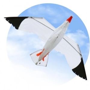 Seagull 3D - Single Line Kites, age 8+, 75x140cm, incl. 17kp...