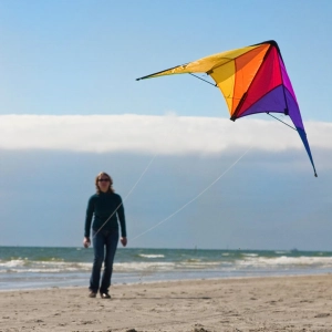 Calypso II Radical - Stunt Kite, age 8+, 59x110cm, incl. 20k...