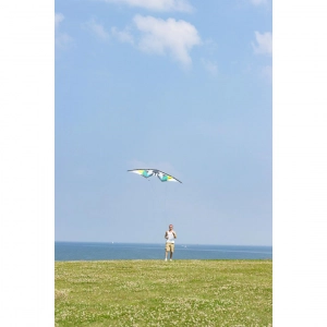 Jive III Aqua - Stunt Kite, age 14+, 82x196cm, incl. 50kp Po...