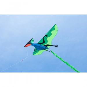 Fyling Dinosaur 3D - Single Line Kites, age 10+, 105x180cm, ...