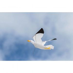 Seagull 3D - Single Line Kites, age 8+, 75x140cm, incl. 17kp...
