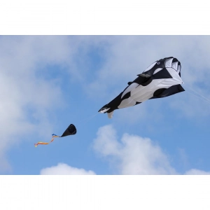 Parafoil Kite Orca - Single Line Kites, age 8+, 200x60cm, in...