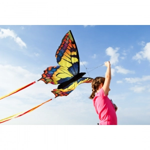 Butterfly Kite Swallowtail L - Kids Kites, age 5+, 80x130cm,...