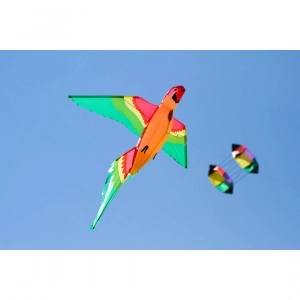 Parrot 3D - Single Line Kites, age 8+, 110x118cm, incl. 17kp...