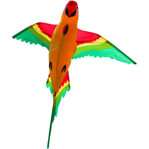 Parrot 3D - Single Line Kites, age 8+, 110x118cm, incl. 17kp Polyester Line, 40m on spool