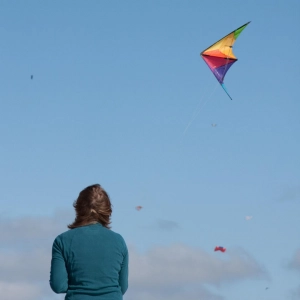 Calypso II Radical - Stunt Kite, age 8+, 59x110cm, incl. 20k...