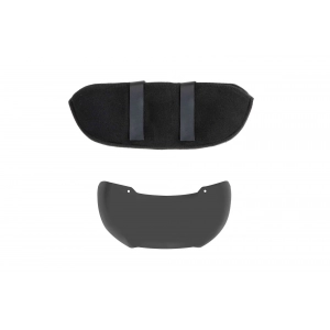 Goggles / Visor for FAST type helmets - black
