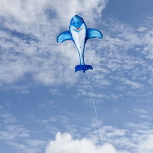 Dolphin Kite - Kids Kites, age 5+, 202cmx175cm, incl. 17kp P...