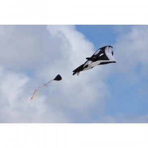 Parafoil Kite Orca - Single Line Kites, age 8+, 200x60cm, in...