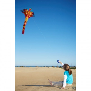 Simple Flyer Phoenix - Kids Kites, age 5+, 205x120cm, incl. ...