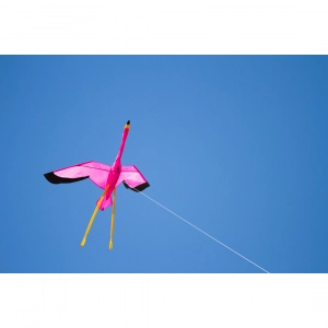 Flamingo 3D - Single Line Kites, age 8+, 100x135cm, incl. 17...