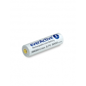 everActive Akumuliatorius 18650 3200mAh su USB (1 vnt.)
