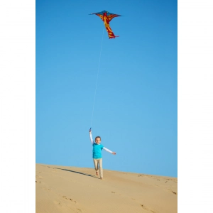 Simple Flyer Phoenix - Kids Kites, age 5+, 205x120cm, incl. ...
