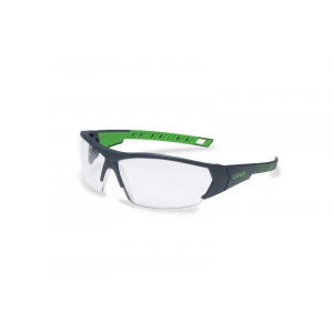 I-Works Protective Glasses - Transparent (9194.175)