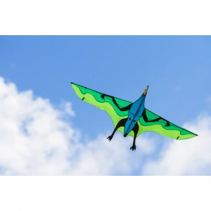 Fyling Dinosaur 3D - Single Line Kites, age 10+, 105x180cm, ...