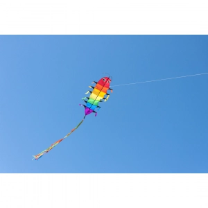 Flapping Willie Worm - Single Line Kites, age 5+, 155x48cm, ...