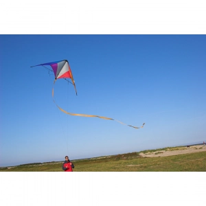 Calypso II Rainbow - Stunt Kite, age 8+, 59x110cm, incl. 20k...