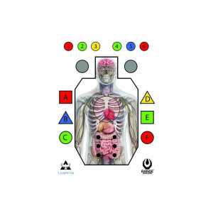 “Live Arma” Shooting Targets - 50 Pcs