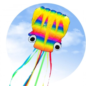Rainbow Octopus L - Kids Kites, age 8+, 480x120cm, incl. 35 ...