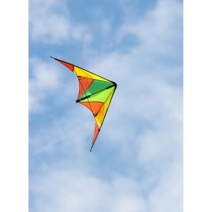 Calypso II Autumn Fun - Stunt Kite, age 8+, 59cmx110cm, incl...