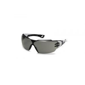Pheos CX2 Protective Glasses - Tinted (9198.237)